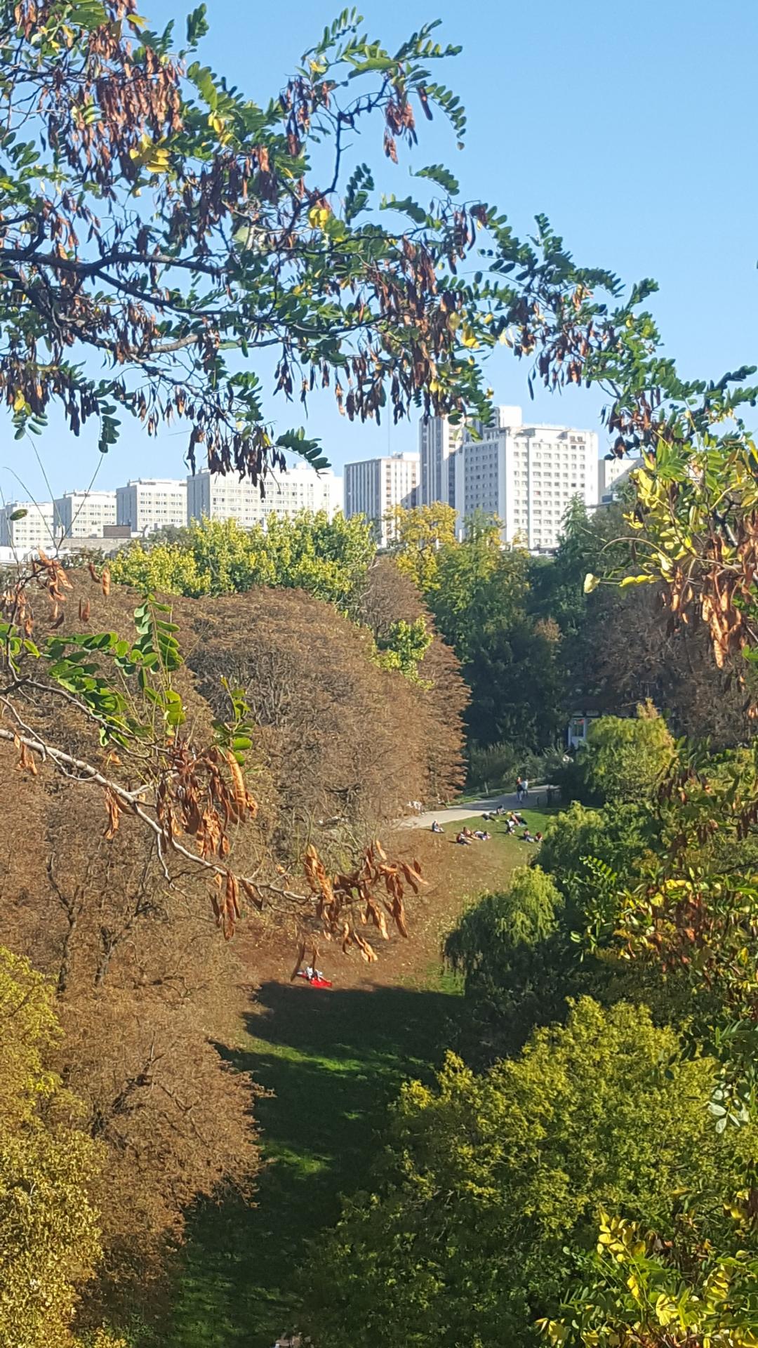 BUTTES CHAUMONT 7